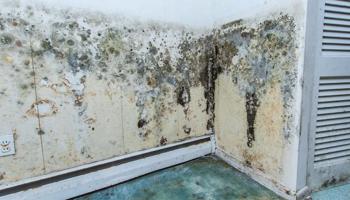 Professional mold removal, odor control, and water damage restoration service in Towson, Maryland.