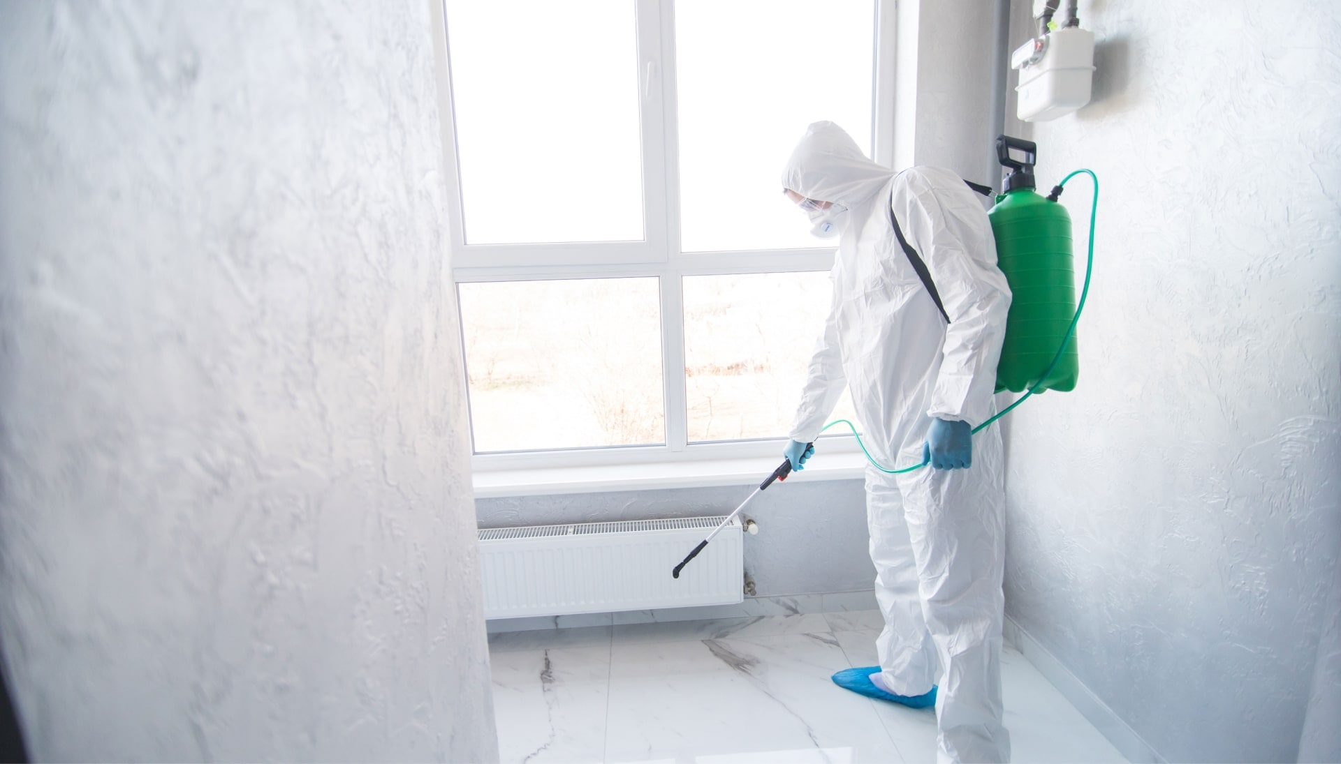 We provide the highest-quality mold inspection, testing, and removal services in the Towson, Maryland area.